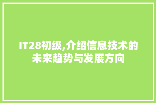 IT28初级,介绍信息技术的未来趋势与发展方向 百度SEO