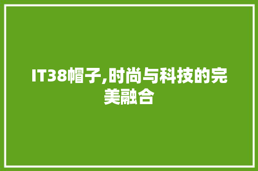 IT38帽子,时尚与科技的完美融合 神马SEO
