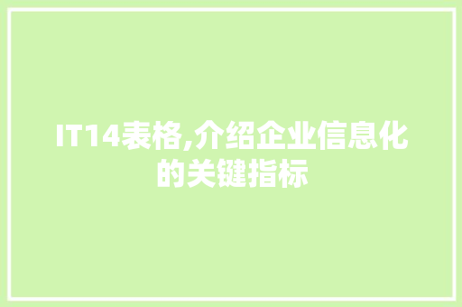 IT14表格,介绍企业信息化的关键指标