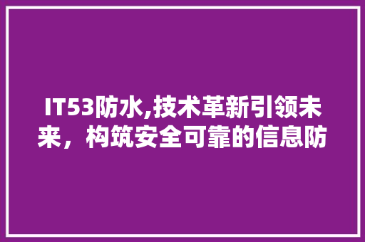 IT53防水,技术革新引领未来，构筑安全可靠的信息防线 必应SEO