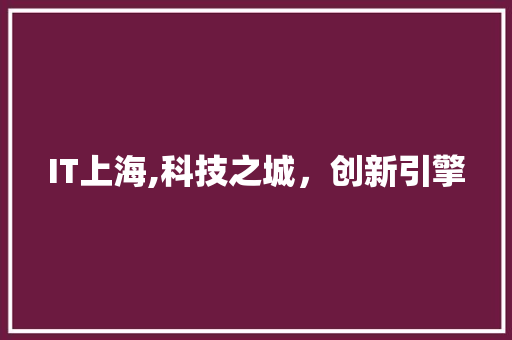 IT上海,科技之城，创新引擎