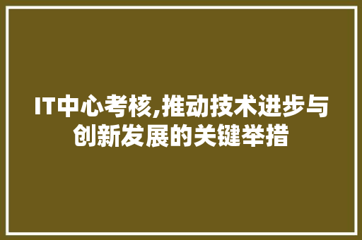 IT中心考核,推动技术进步与创新发展的关键举措 网站建设公司