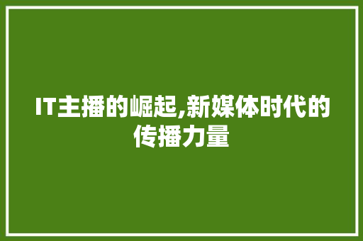 IT主播的崛起,新媒体时代的传播力量