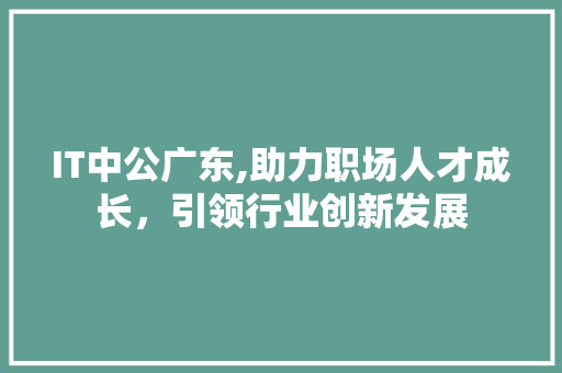 IT中公广东,助力职场人才成长，引领行业创新发展 网站建设公司