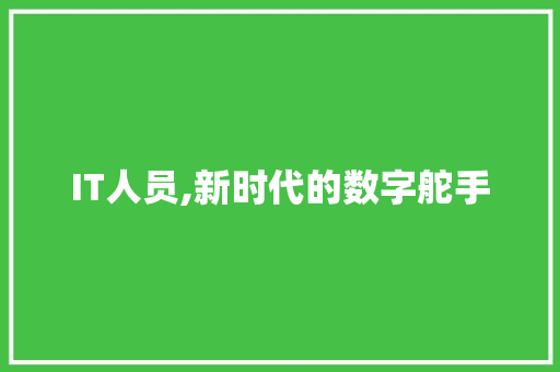IT人员,新时代的数字舵手
