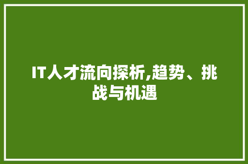 IT人才流向探析,趋势、挑战与机遇