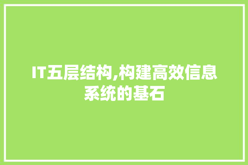 IT五层结构,构建高效信息系统的基石 神马SEO