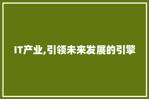 IT产业,引领未来发展的引擎 网站建设公司