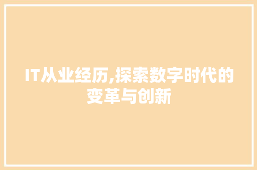 IT从业经历,探索数字时代的变革与创新