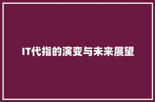 IT代指的演变与未来展望