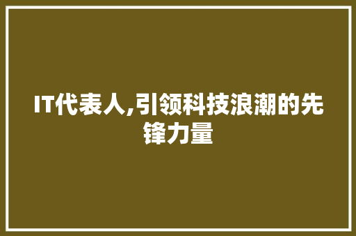 IT代表人,引领科技浪潮的先锋力量