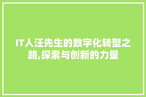 IT人汪先生的数字化转型之路,探索与创新的力量