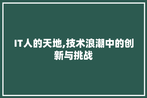 IT人的天地,技术浪潮中的创新与挑战
