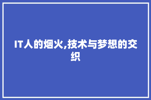 IT人的烟火,技术与梦想的交织