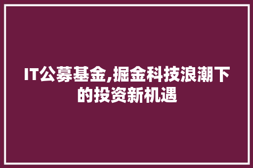 IT公募基金,掘金科技浪潮下的投资新机遇