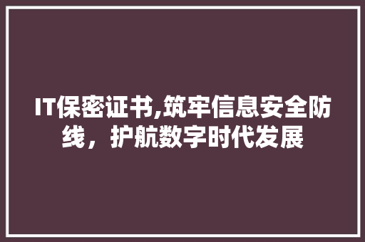 IT保密证书,筑牢信息安全防线，护航数字时代发展