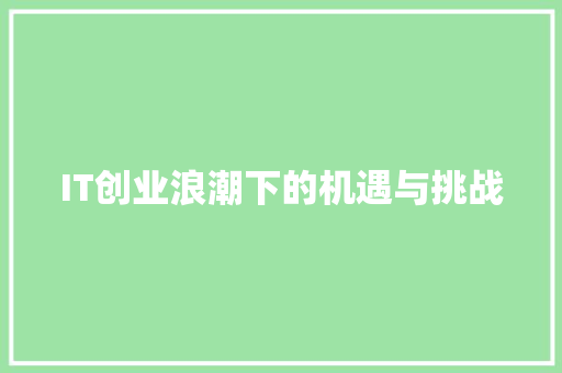 IT创业浪潮下的机遇与挑战 必应SEO