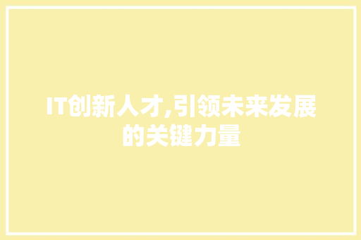 IT创新人才,引领未来发展的关键力量 搜狗SEO