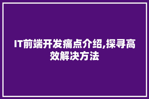 IT前端开发痛点介绍,探寻高效解决方法