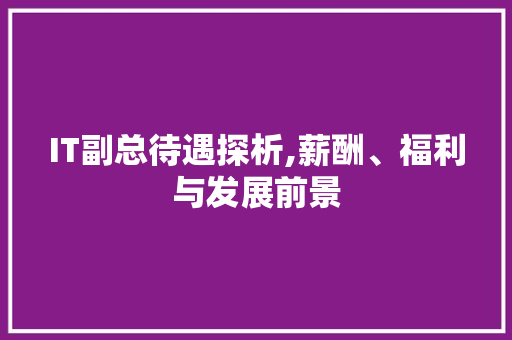 IT副总待遇探析,薪酬、福利与发展前景
