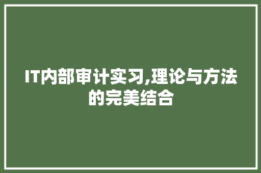 IT内部审计实习,理论与方法的完美结合 必应SEO