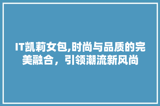 IT凯莉女包,时尚与品质的完美融合，引领潮流新风尚