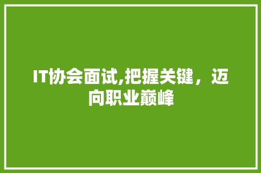 IT协会面试,把握关键，迈向职业巅峰