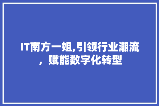 IT南方一姐,引领行业潮流，赋能数字化转型