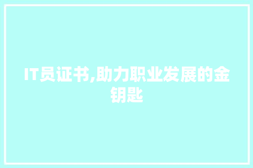 IT员证书,助力职业发展的金钥匙 必应SEO
