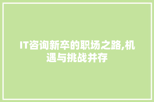IT咨询新卒的职场之路,机遇与挑战并存 网站建设公司