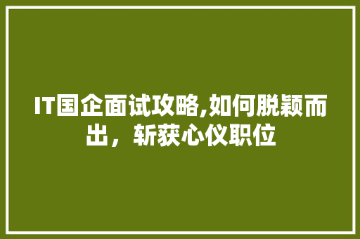 IT国企面试攻略,如何脱颖而出，斩获心仪职位 必应SEO