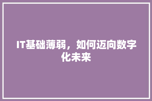 IT基础薄弱，如何迈向数字化未来