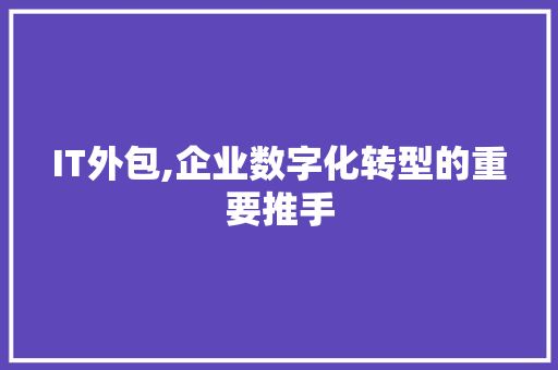 IT外包,企业数字化转型的重要推手 搜狗SEO