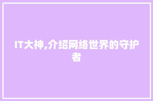 IT大神,介绍网络世界的守护者
