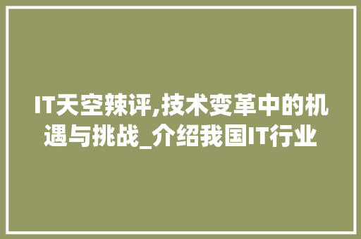 IT天空辣评,技术变革中的机遇与挑战_介绍我国IT行业发展现状与未来趋势
