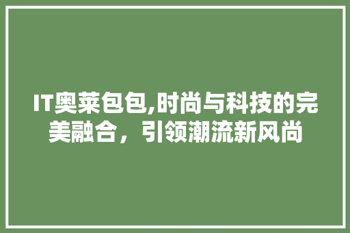 IT奥莱包包,时尚与科技的完美融合，引领潮流新风尚