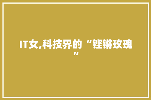 IT女,科技界的“铿锵玫瑰”