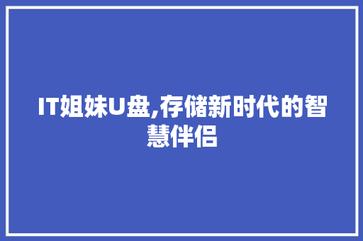 IT姐妹U盘,存储新时代的智慧伴侣