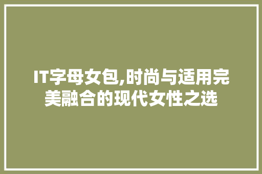 IT字母女包,时尚与适用完美融合的现代女性之选