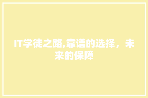 IT学徒之路,靠谱的选择，未来的保障