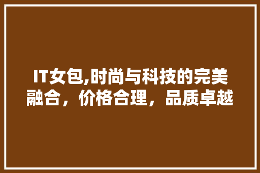 IT女包,时尚与科技的完美融合，价格合理，品质卓越