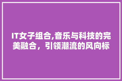 IT女子组合,音乐与科技的完美融合，引领潮流的风向标