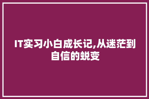IT实习小白成长记,从迷茫到自信的蜕变