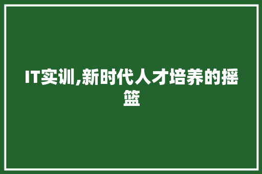 IT实训,新时代人才培养的摇篮