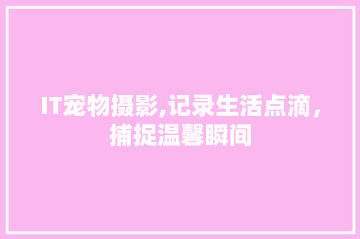 IT宠物摄影,记录生活点滴，捕捉温馨瞬间