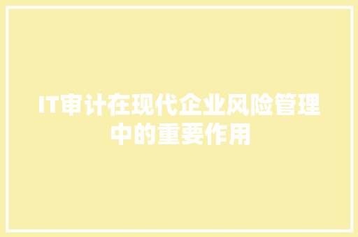 IT审计在现代企业风险管理中的重要作用