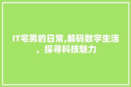 IT宅男的日常,解码数字生活，探寻科技魅力