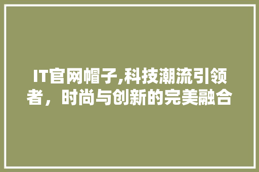 IT官网帽子,科技潮流引领者，时尚与创新的完美融合