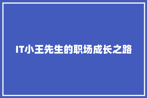 IT小王先生的职场成长之路