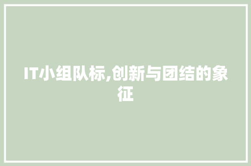 IT小组队标,创新与团结的象征